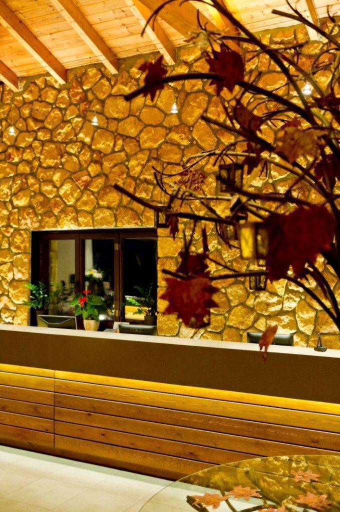Pliadon Gi Mountain Resort & Spa Kato Sinikia Trikalon 외부 사진